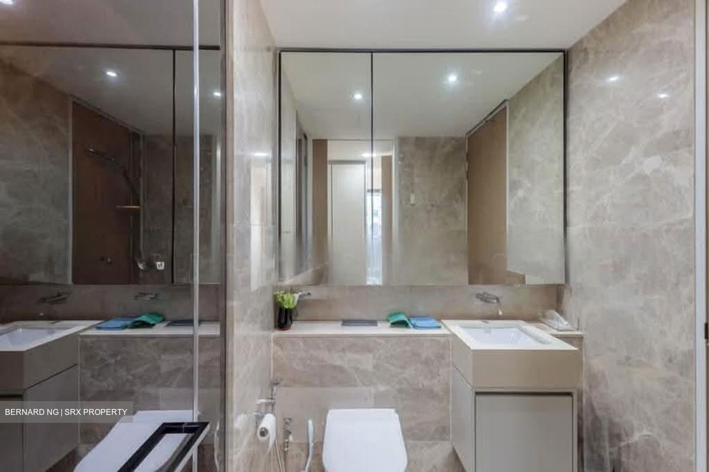 Amber Park (D15), Condominium #612254711